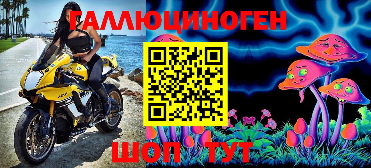 Галлюциногенные грибы Cubensis Котовск