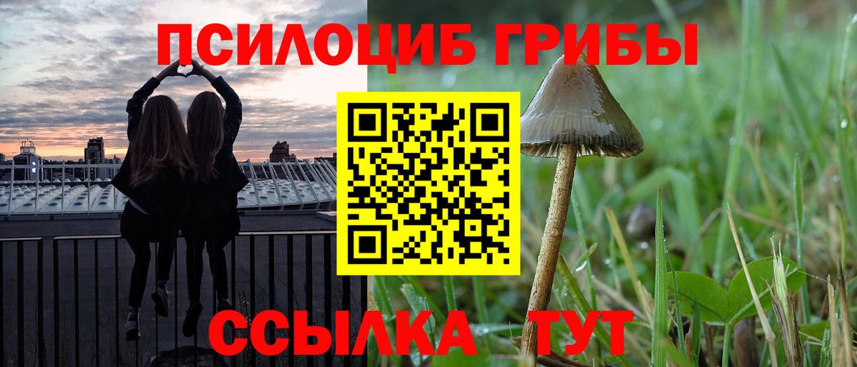 Котовск  Псилоцибиновые грибы ЛСД  Вход с VPN 